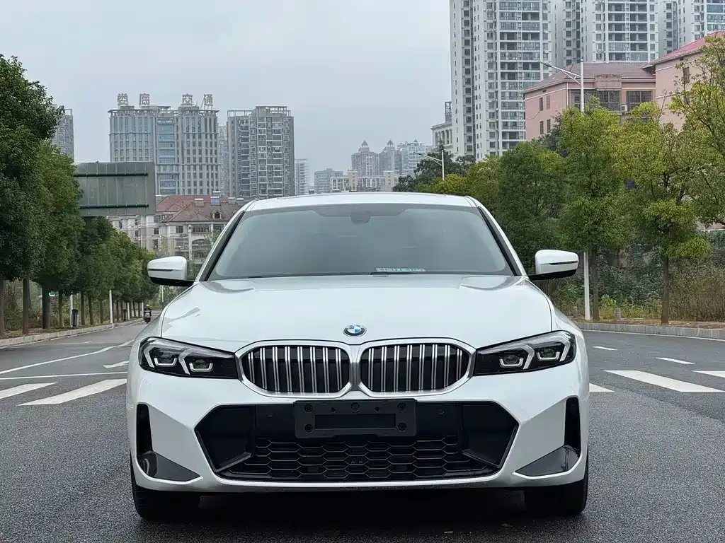 BMW 3 Series 2024 из CN, фото 2