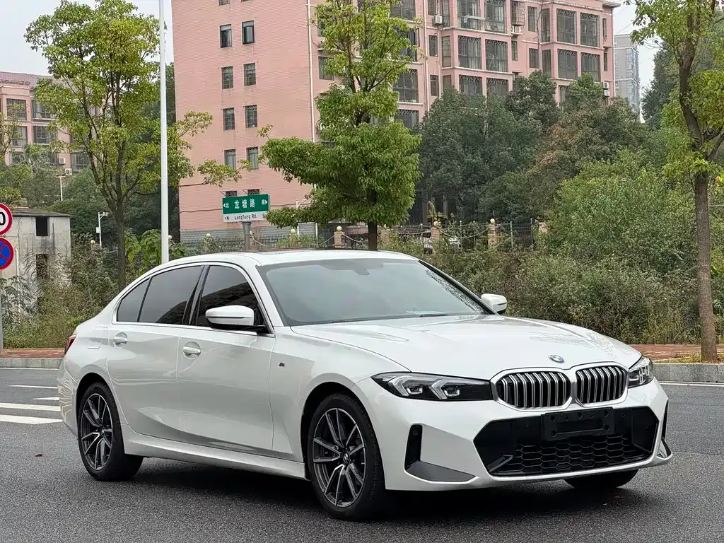 BMW 3 Series 2024 из CN, фото 3