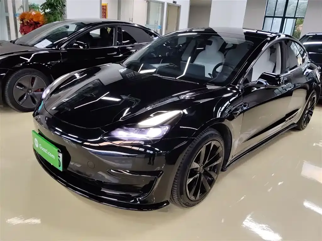 Tesla Model 3 2023 из CN, фото 2
