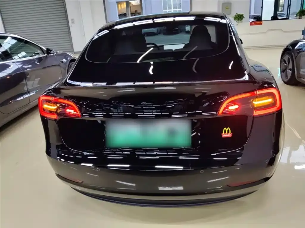 Tesla Model 3 2023 из CN, фото 6