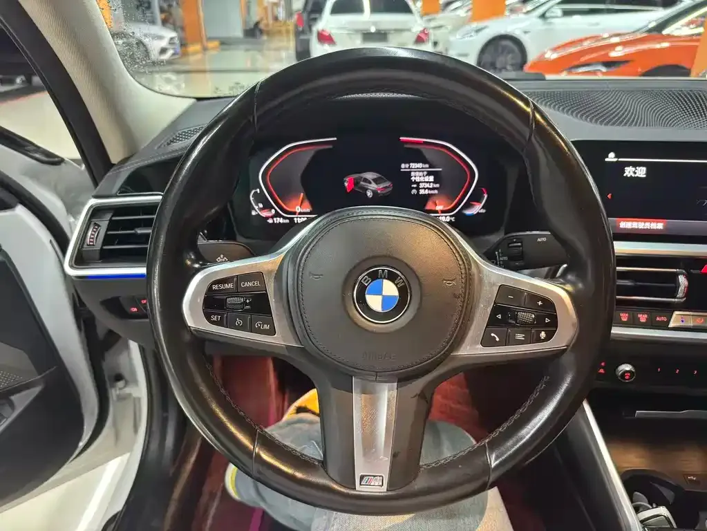 BMW 3 Series 2021 из CN, фото 5