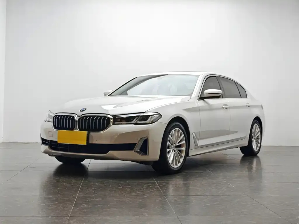 BMW 5 Series 2021 из CN, фото 1