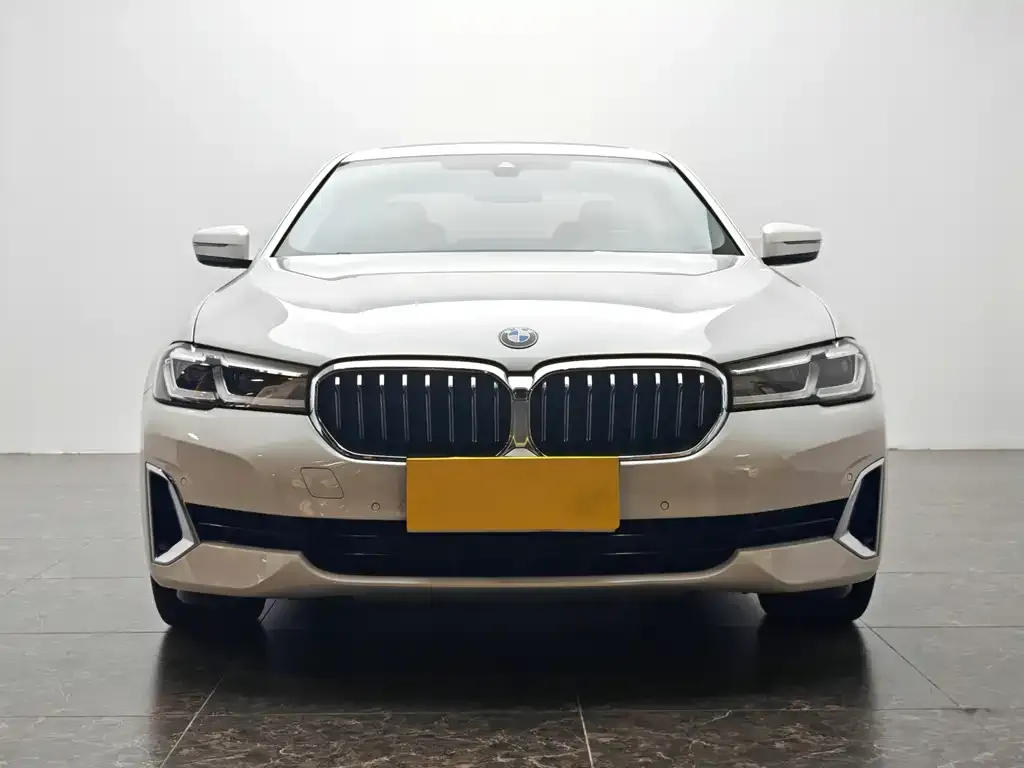BMW 5 Series 2021 из CN, фото 2