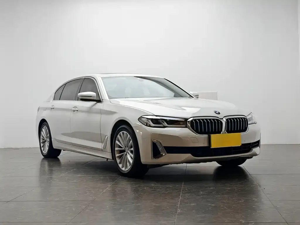 BMW 5 Series 2021 из CN, фото 3