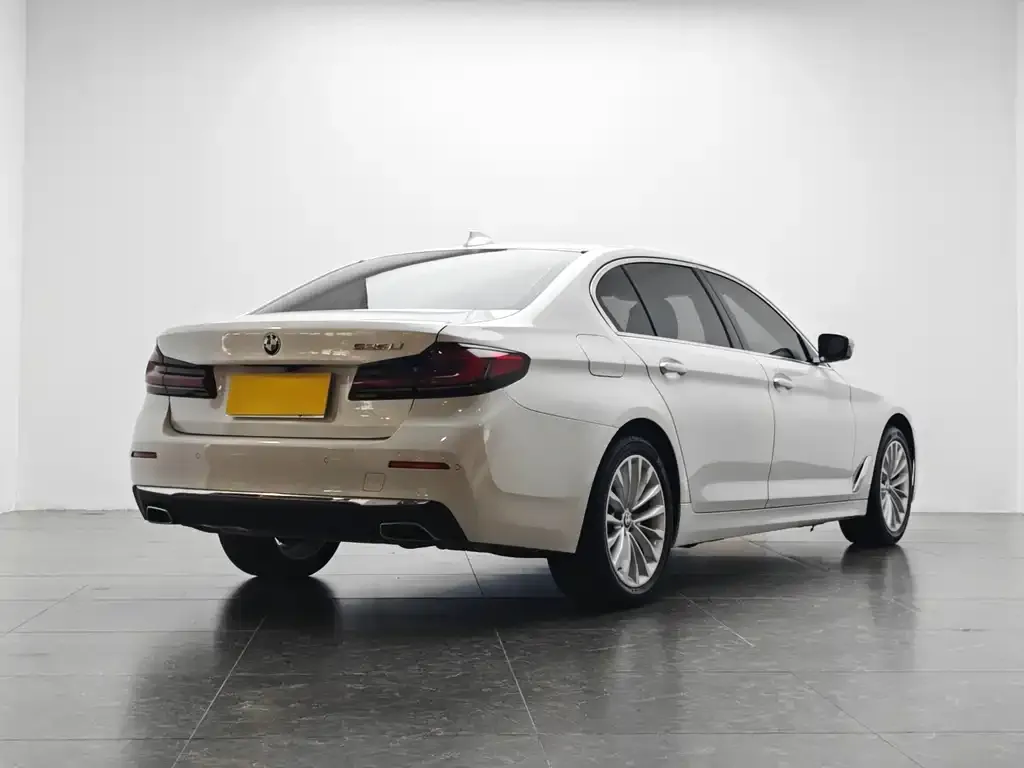 BMW 5 Series 2021 из CN, фото 4