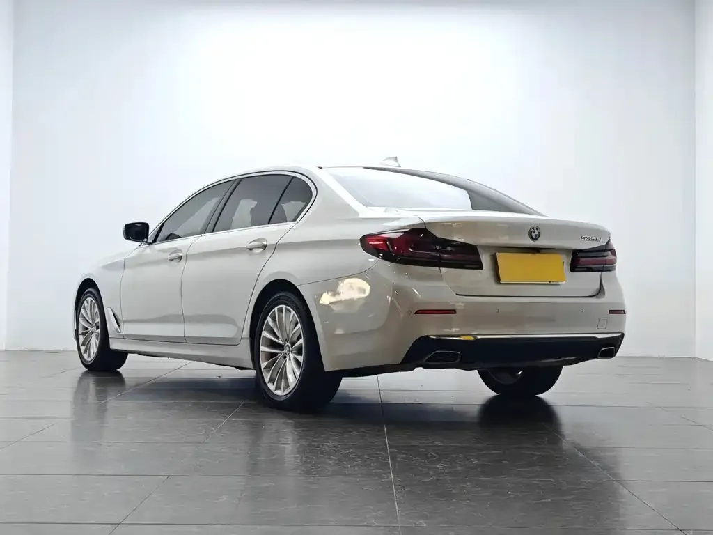 BMW 5 Series 2021 из CN, фото 5