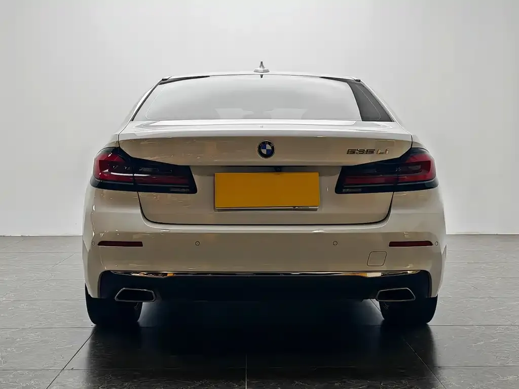 BMW 5 Series 2021 из CN, фото 6