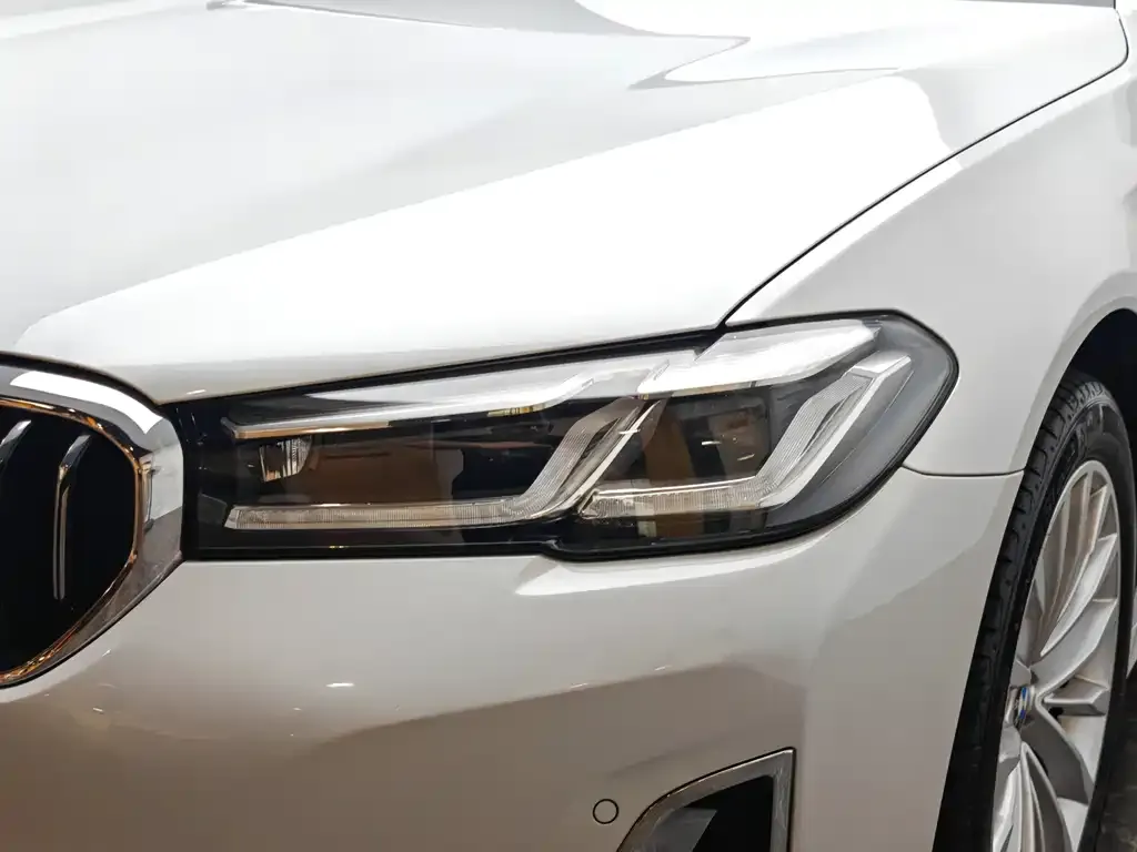 BMW 5 Series 2021 из CN, фото 7