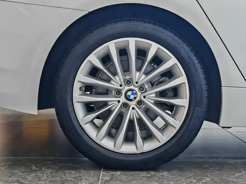 BMW 5 Series 2021 из CN, фото 8