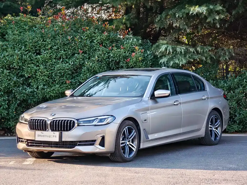 BMW 5 Series New Energy 2023 из CN, фото 1