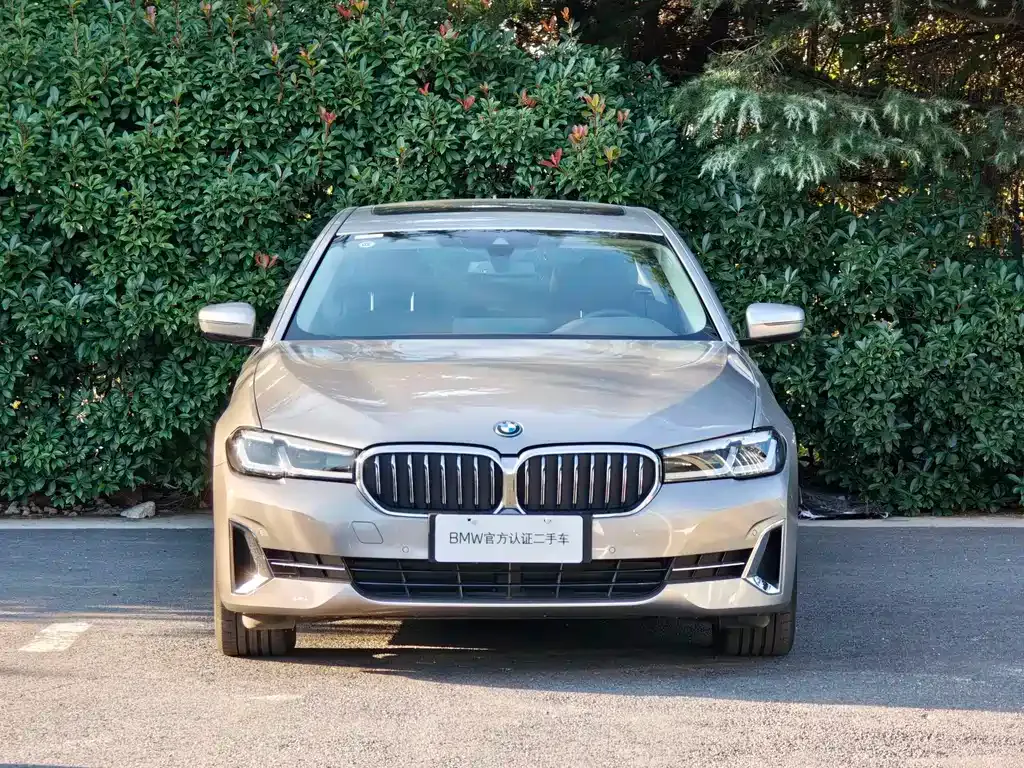 BMW 5 Series New Energy 2023 из CN, фото 2