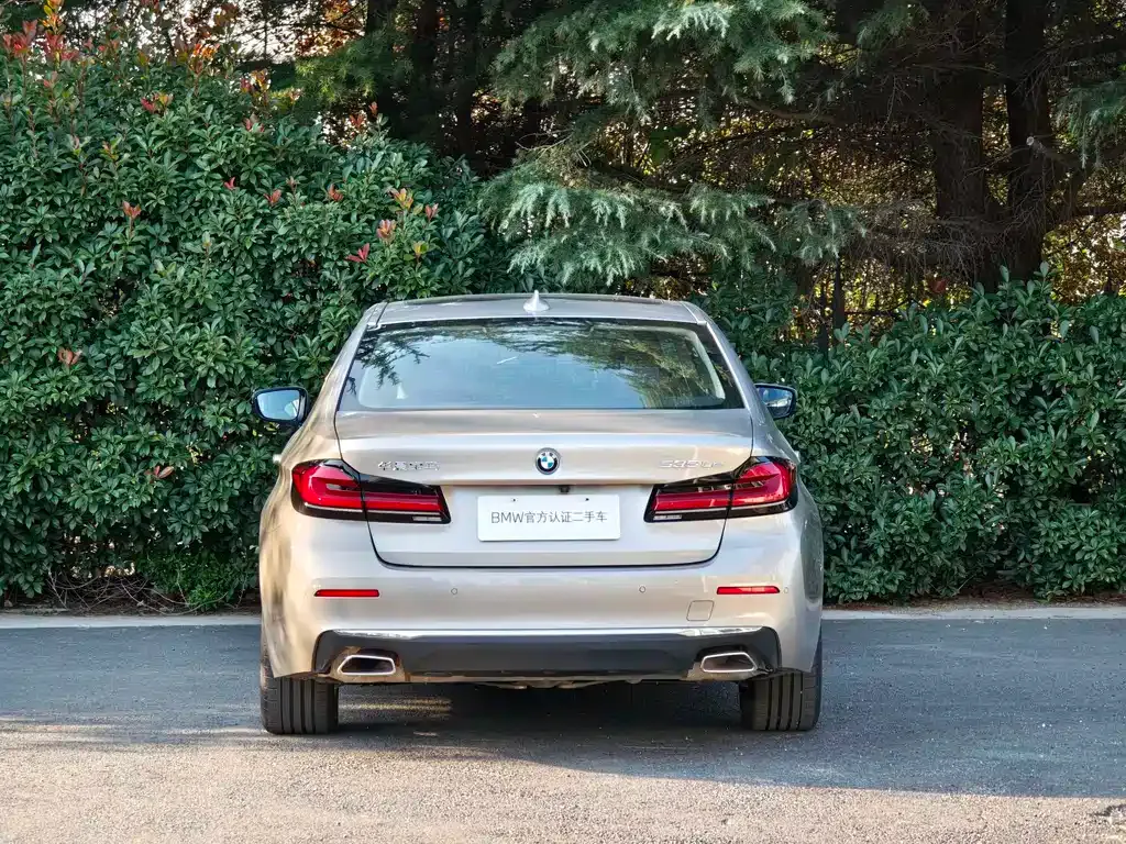 BMW 5 Series New Energy 2023 из CN, фото 4