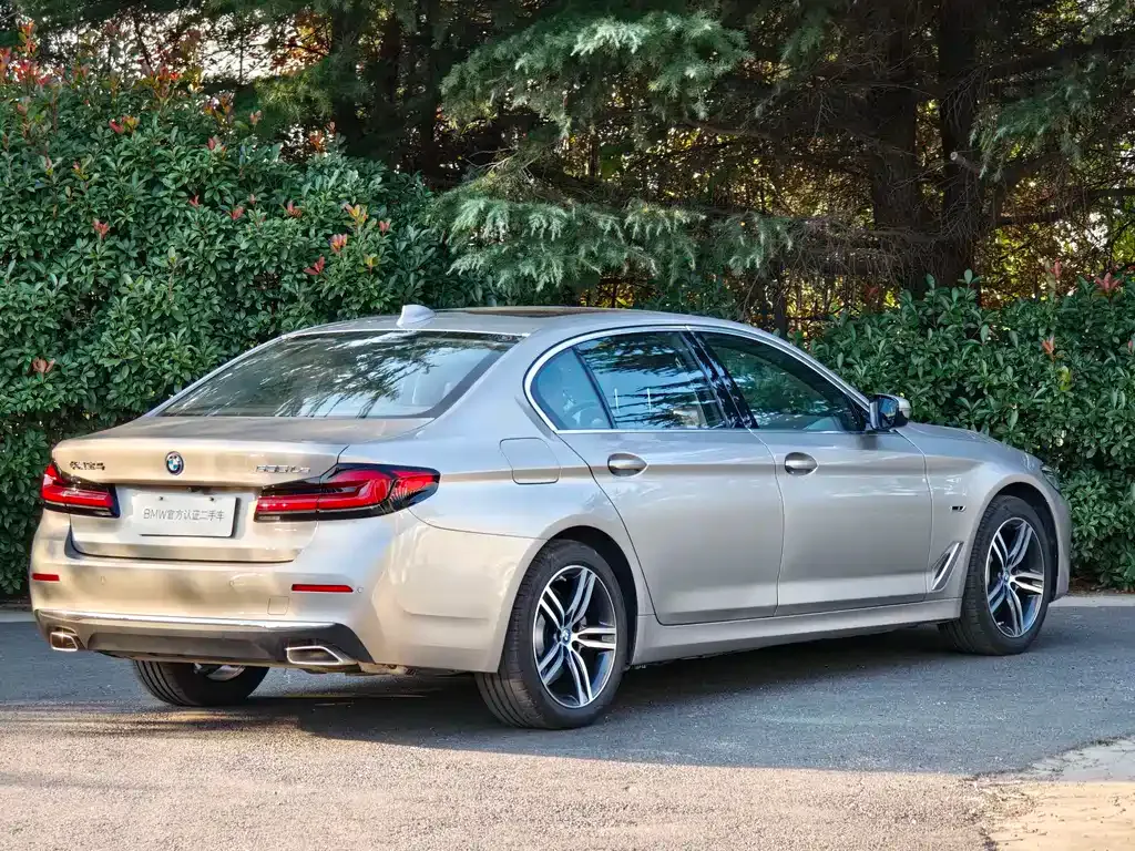 BMW 5 Series New Energy 2023 из CN, фото 5