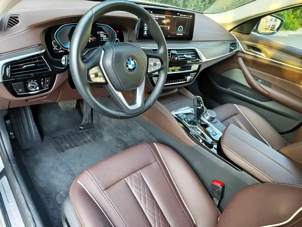 BMW 5 Series New Energy 2023 из CN, фото 9