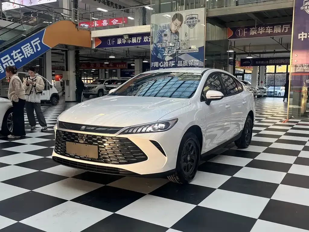 BYD Qin PLUS 2025 из CN, фото 1