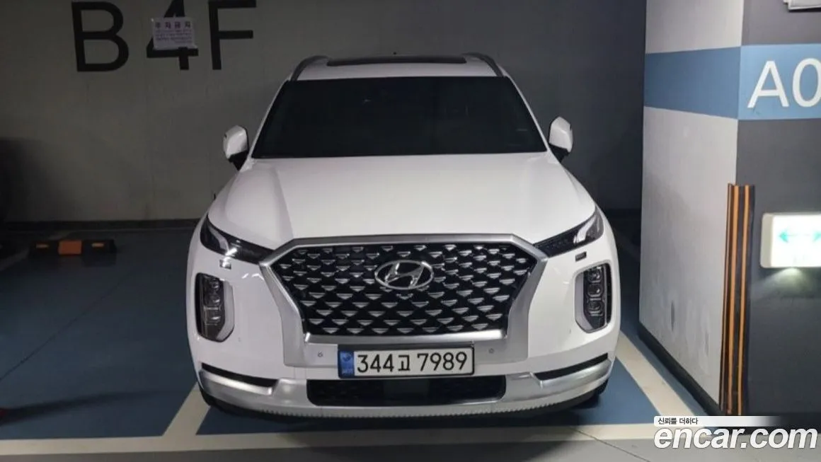 Hyundai Palisade 2021 из KR, фото 1