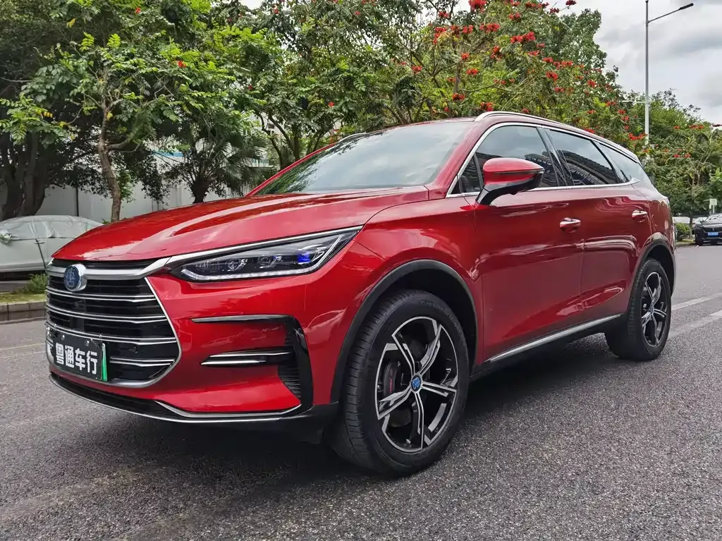 BYD Tang New Energy 2021 из CN, фото 1