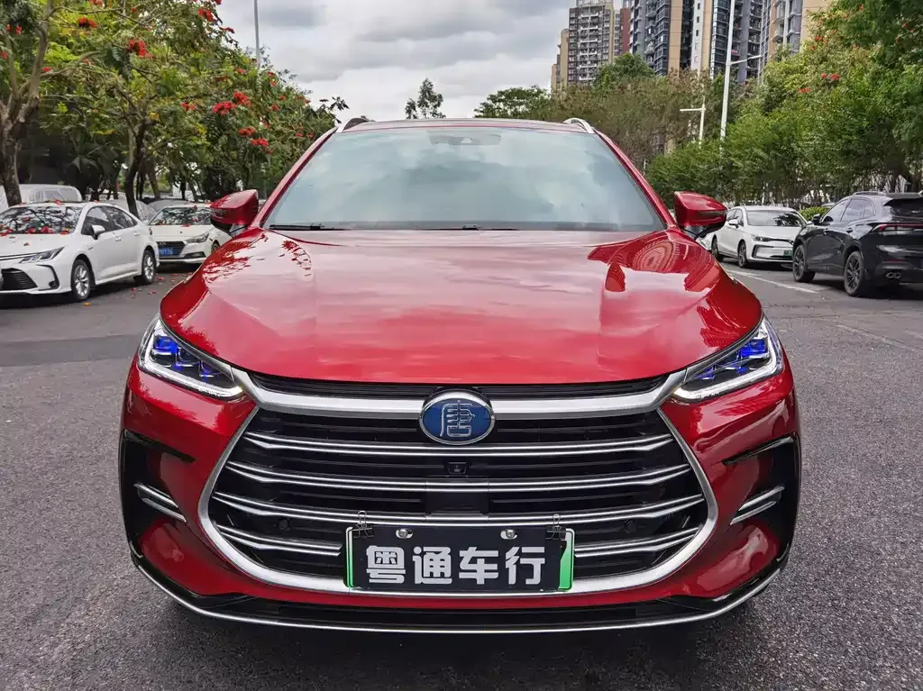 BYD Tang New Energy 2021 из CN, фото 2