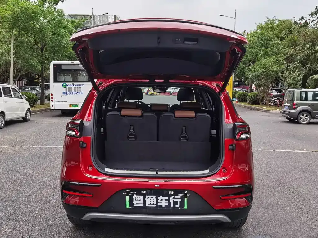 BYD Tang New Energy 2021 из CN, фото 7
