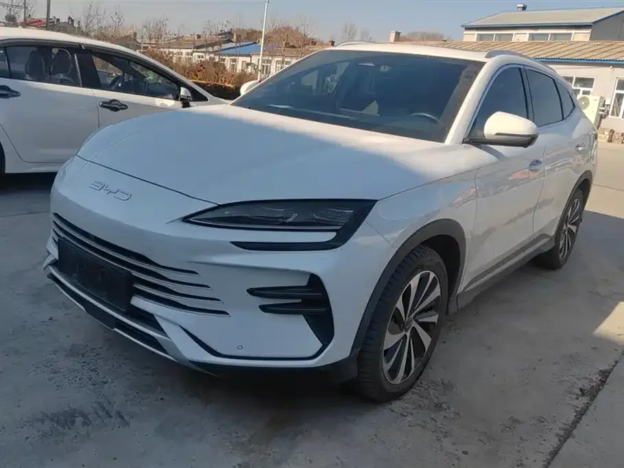 BYD PLUS New Energy — фото 1