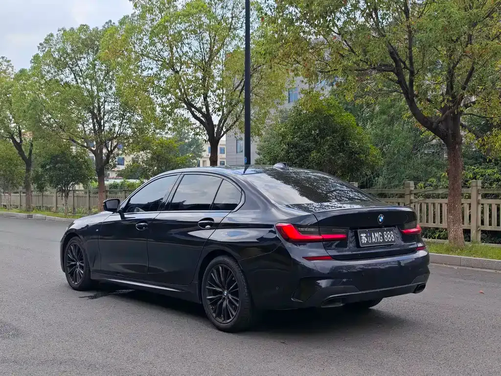 BMW 3 Series 2021 из CN, фото 7