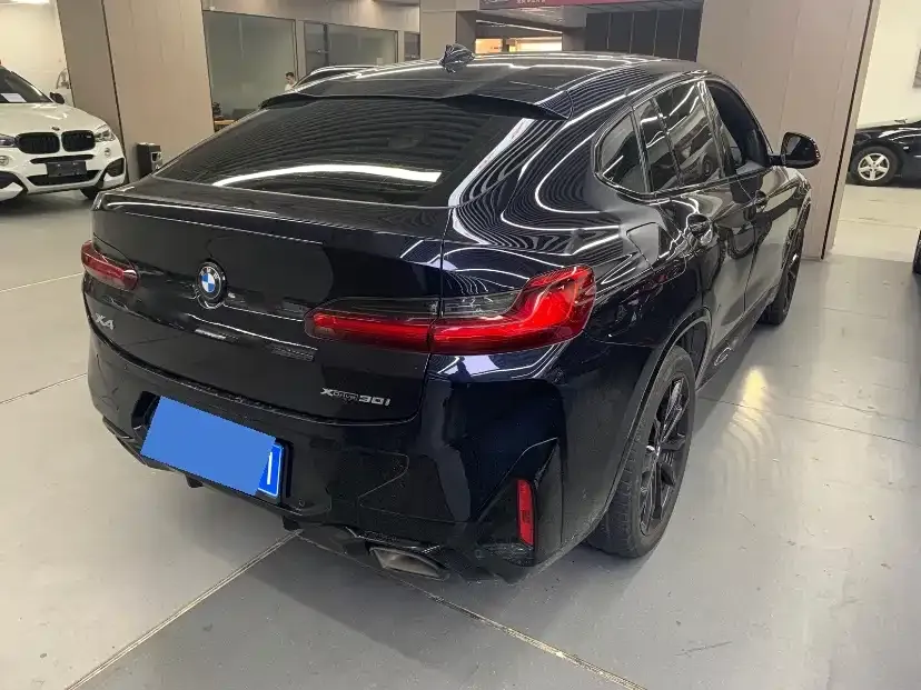 BMW X4 2023 из CN, фото 7