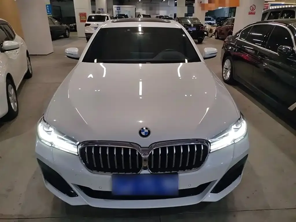 BMW 5 Series 2022 из CN, фото 3