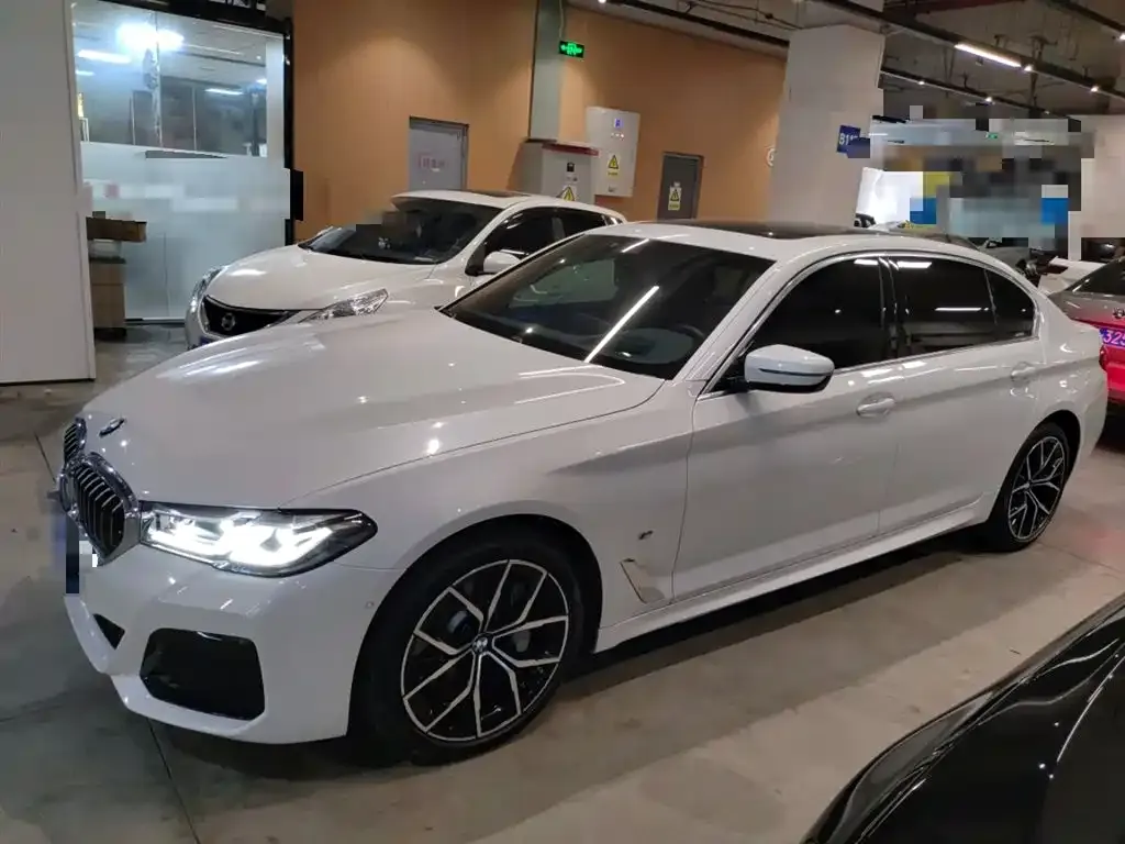 BMW 5 Series 2022 из CN, фото 5