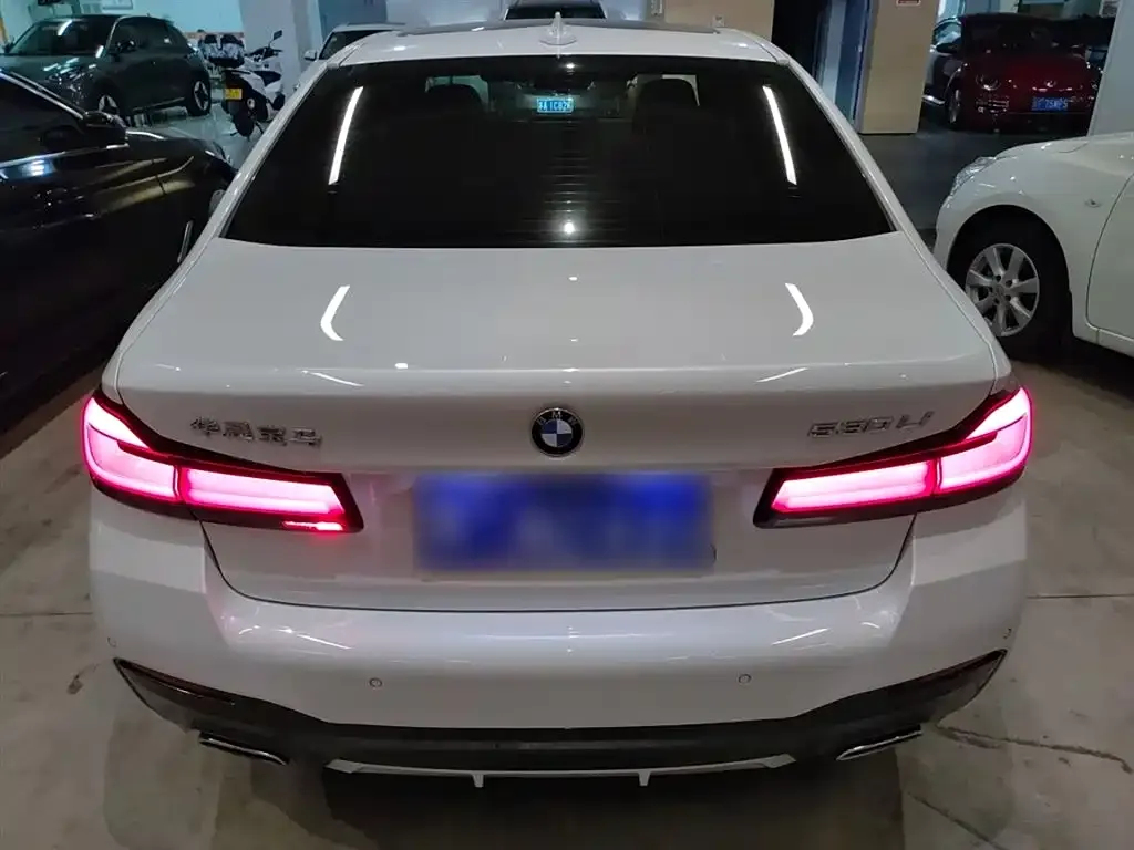 BMW 5 Series 2022 из CN, фото 6