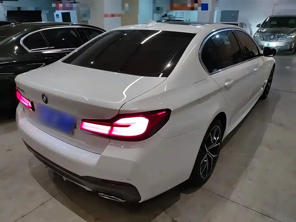 BMW 5 Series 2022 из CN, фото 7