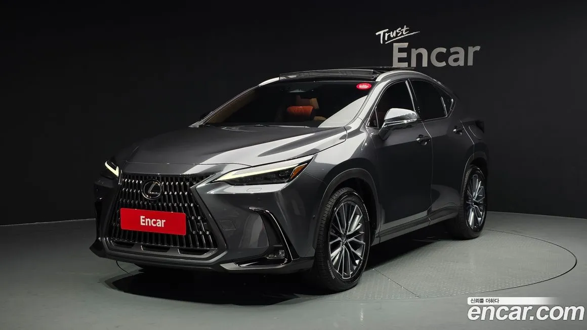Lexus NX 2025 из KR, фото 1