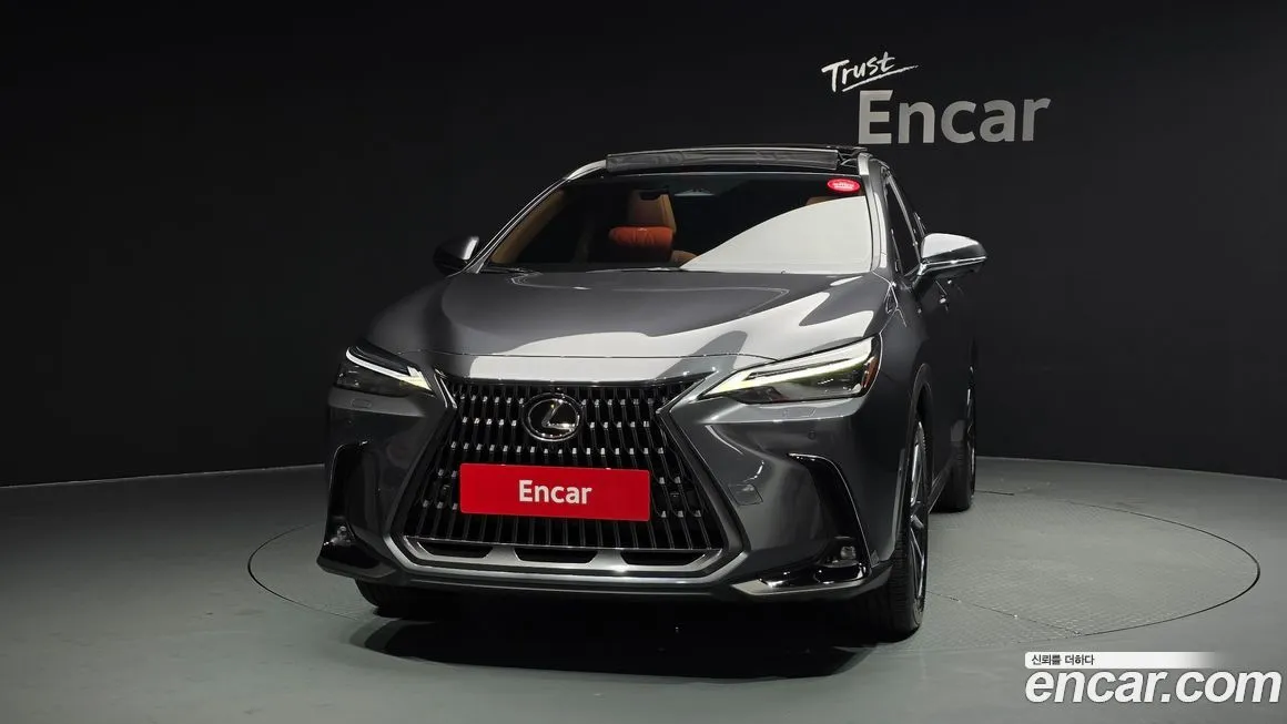 Lexus NX 2025 из KR, фото 3