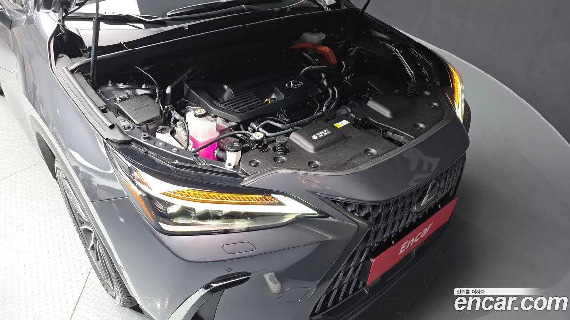 Lexus NX 2025 из KR, фото 6