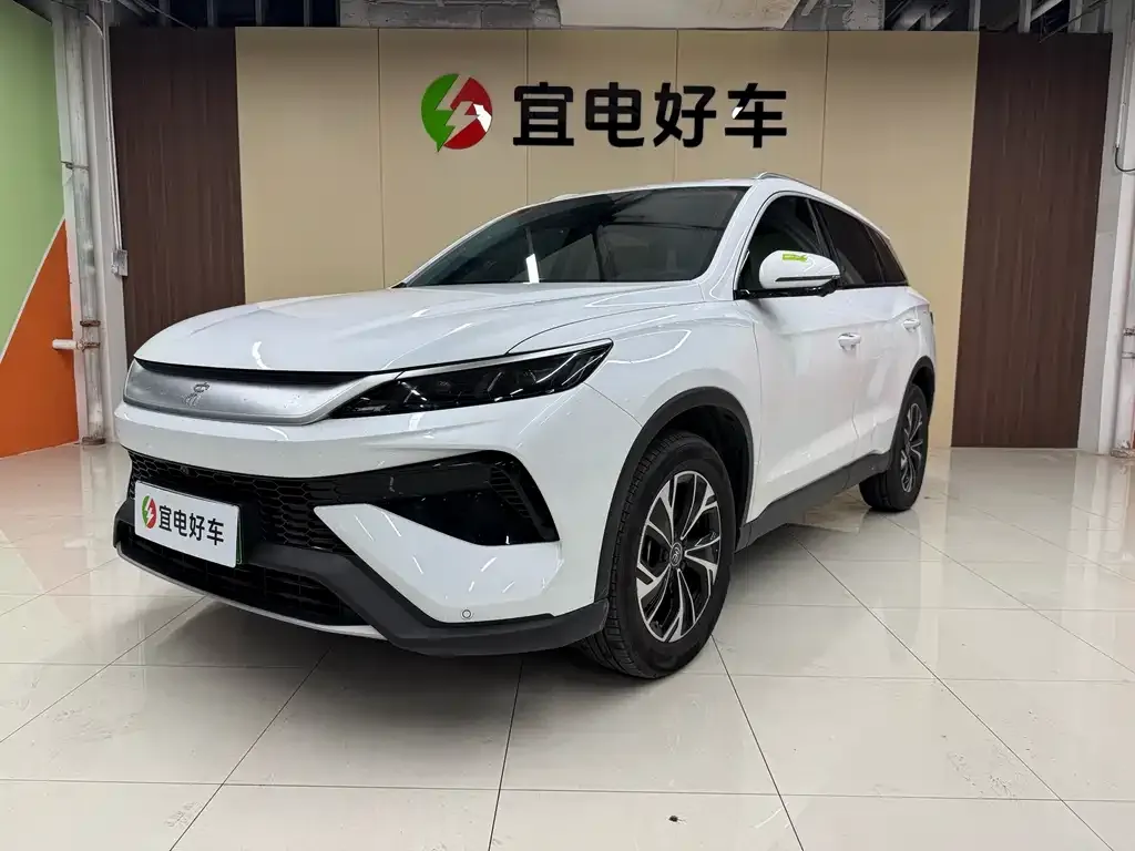 BYD Pro New Energy 2025 из CN, фото 1
