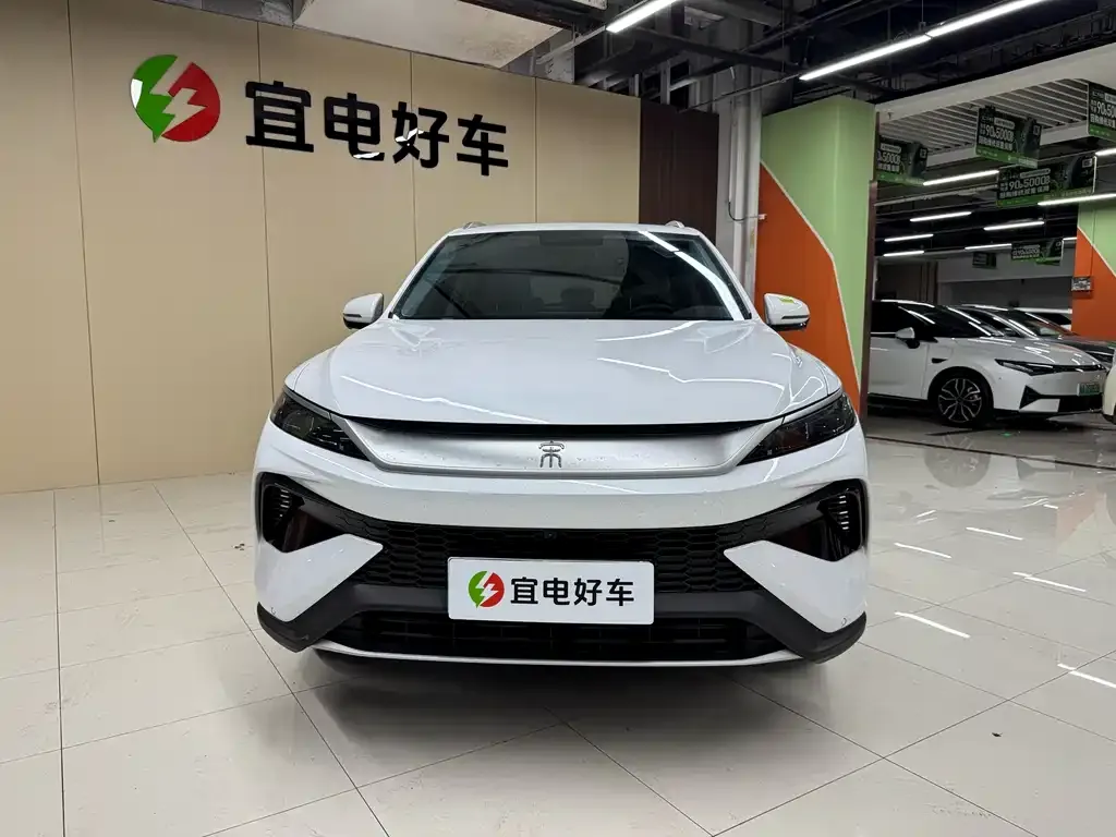 BYD Pro New Energy 2025 из CN, фото 2