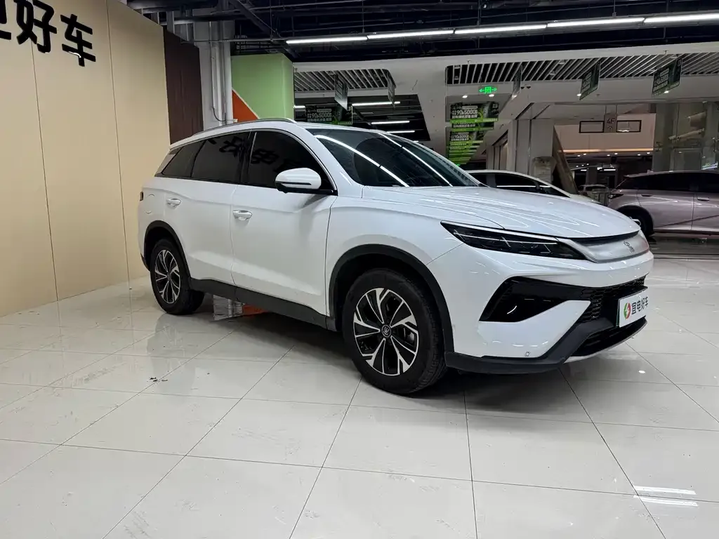 BYD Pro New Energy 2025 из CN, фото 3