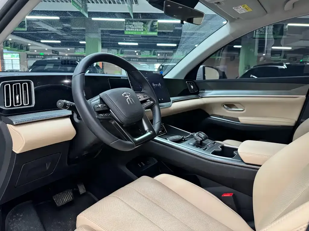 BYD Pro New Energy 2025 из CN, фото 4