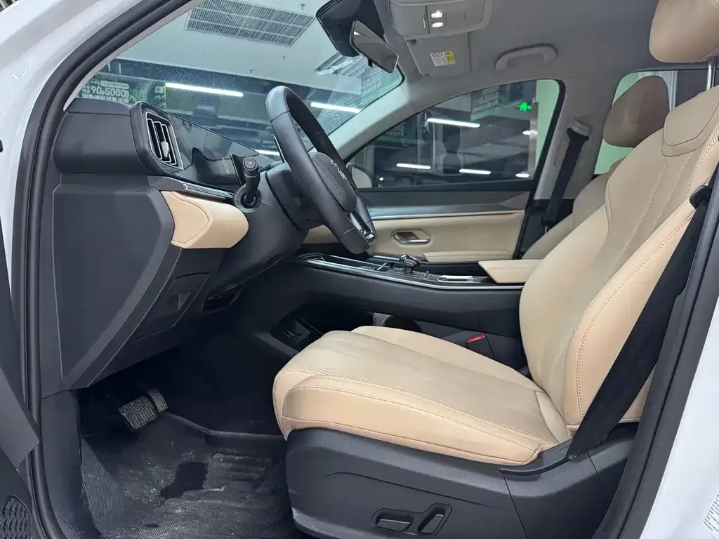 BYD Pro New Energy 2025 из CN, фото 5