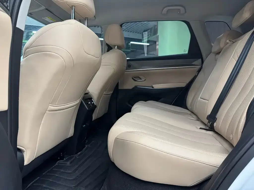 BYD Pro New Energy 2025 из CN, фото 8
