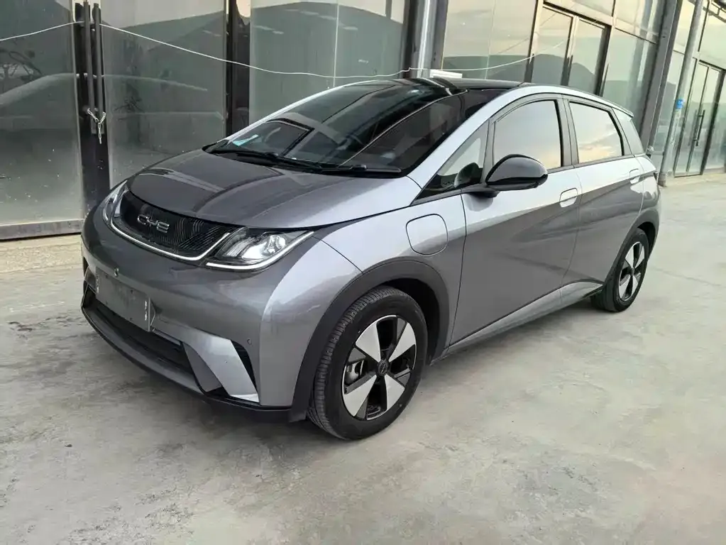 BYD Dolphin 2024 из CN, фото 1
