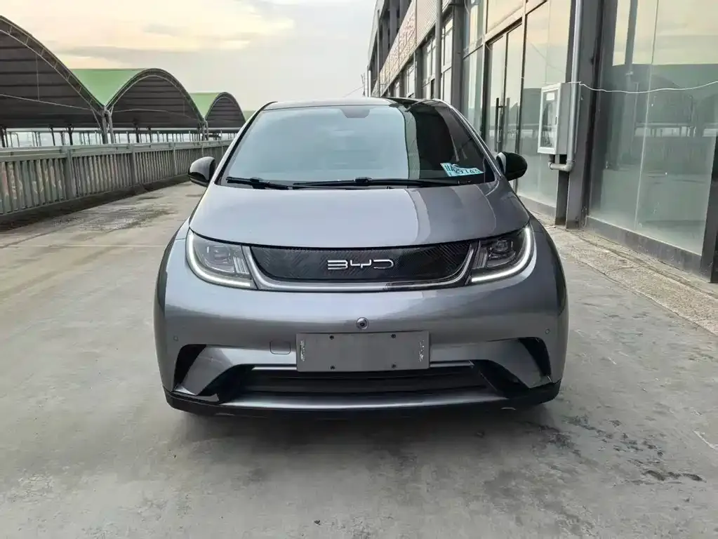 BYD Dolphin 2024 из CN, фото 2