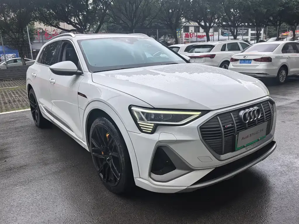 Audi e-tron 2023 из CN, фото 2