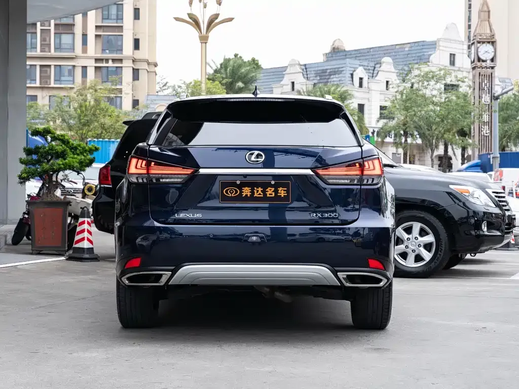 Lexus RX 2022 из CN, фото 5