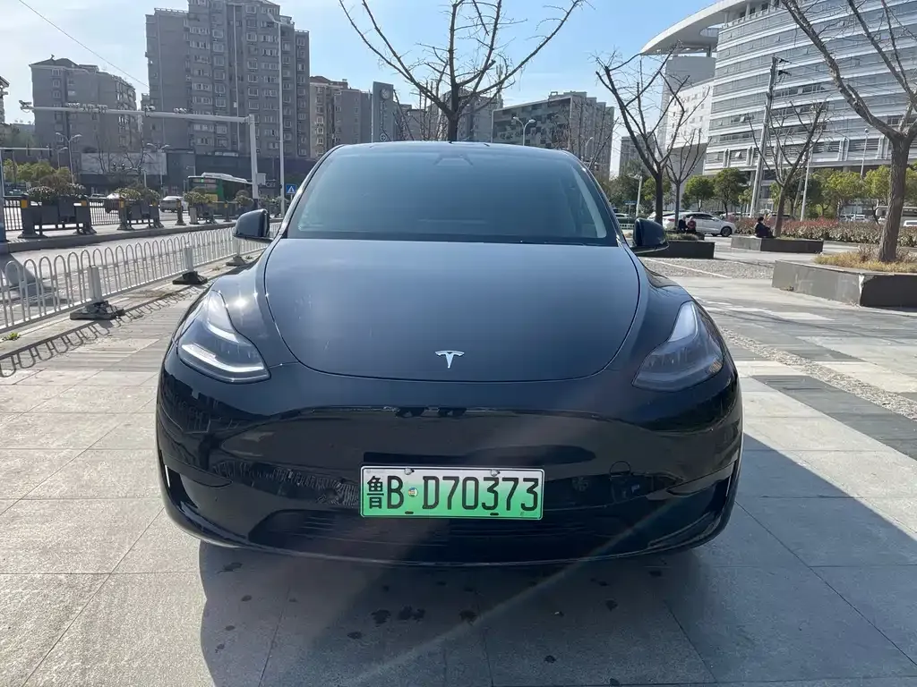 Tesla Model Y — фото 2