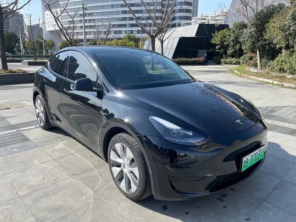 Tesla Model Y — фото 3