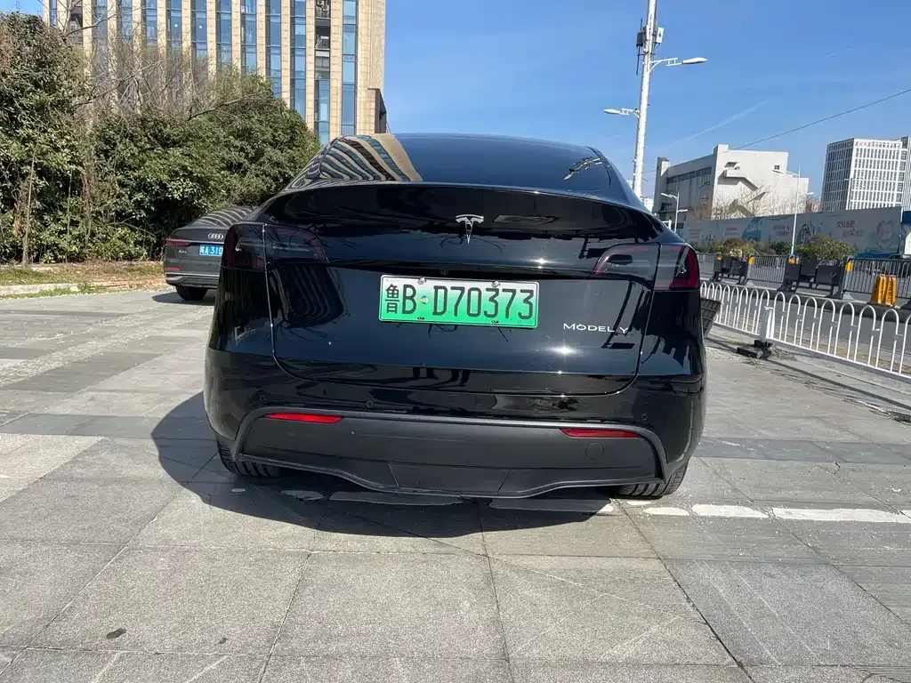 Tesla Model Y — фото 8