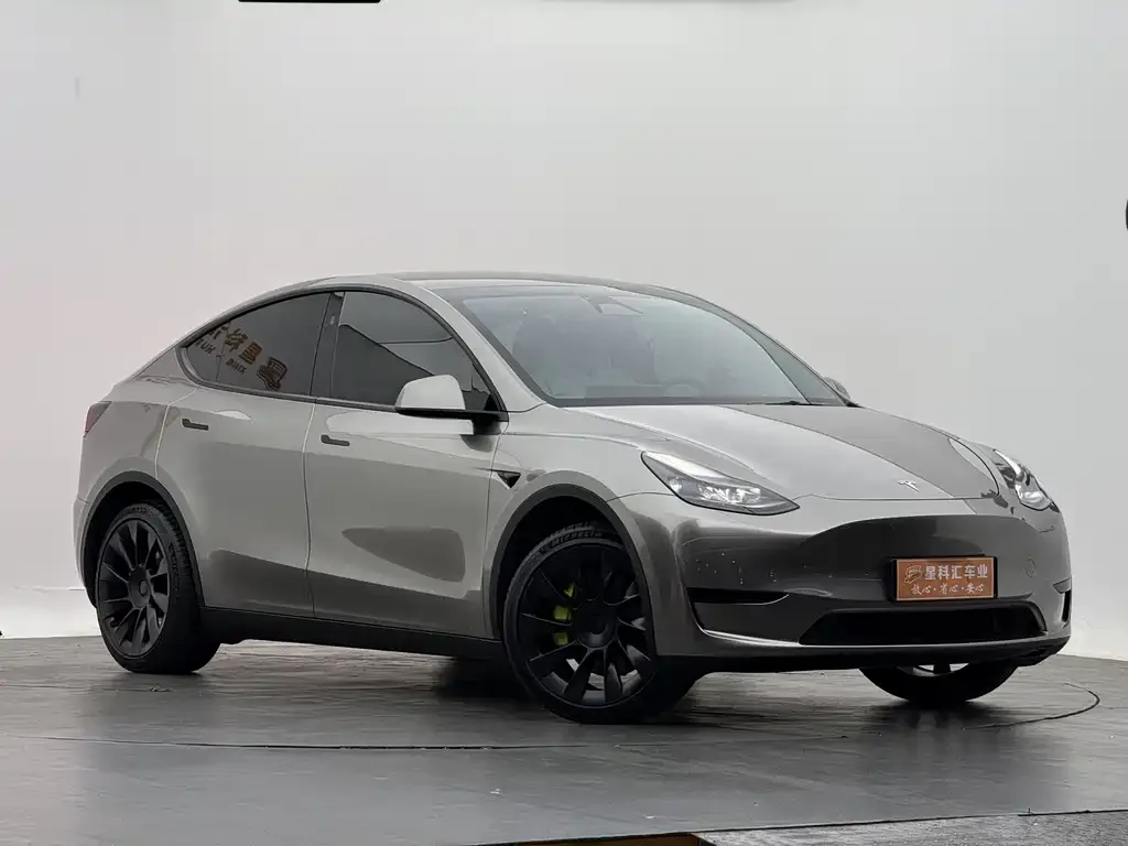 Tesla Model Y — фото 3