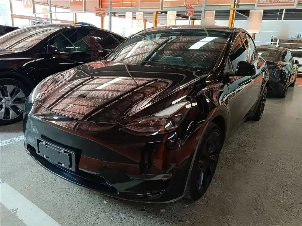 Tesla Model Y 2021 из CN, фото 2