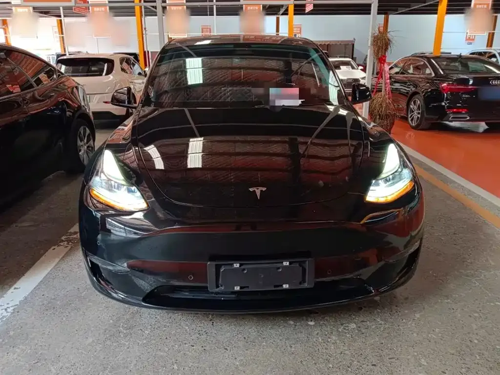 Tesla Model Y 2021 из CN, фото 3