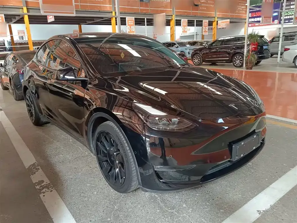 Tesla Model Y 2021 из CN, фото 4